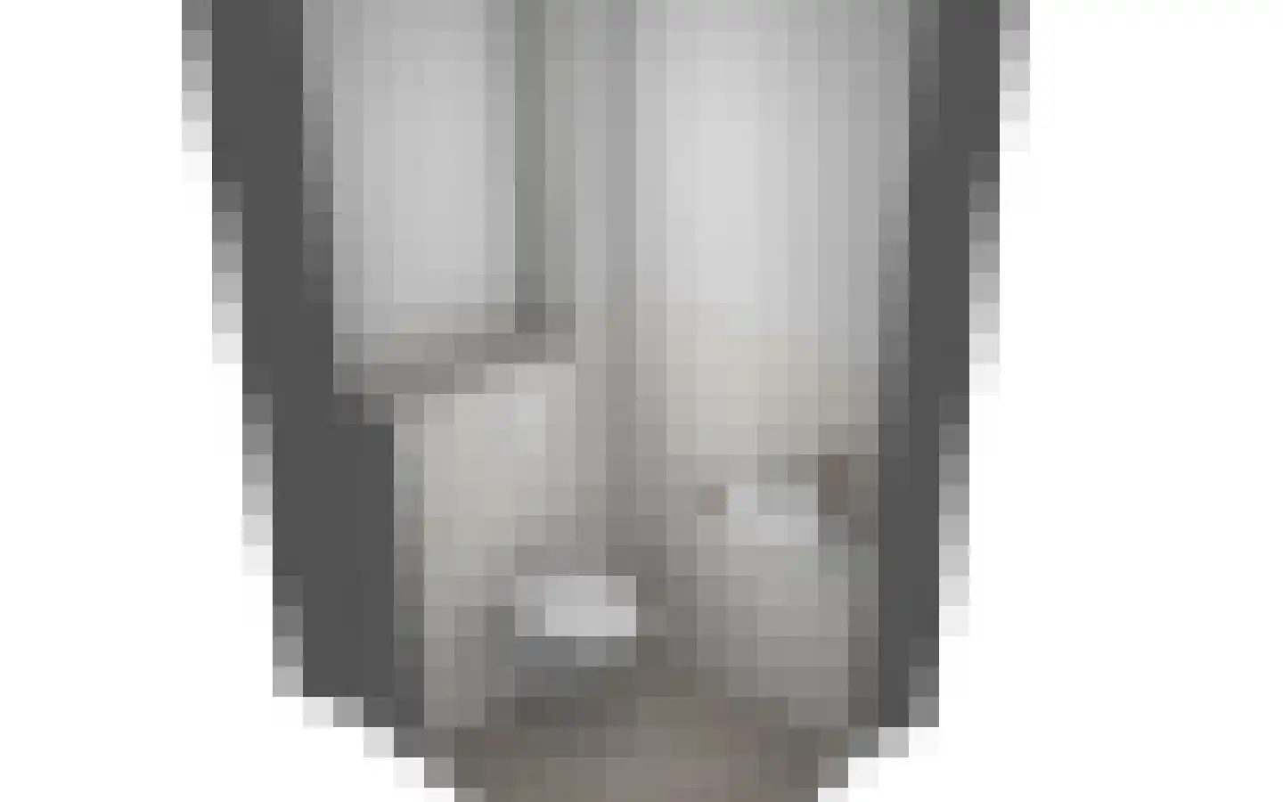 De Dorsvlegel 65 Made thumbnail 6