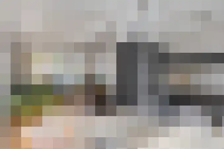 De Dorsvloer 24 Veenendaal thumbnail 10