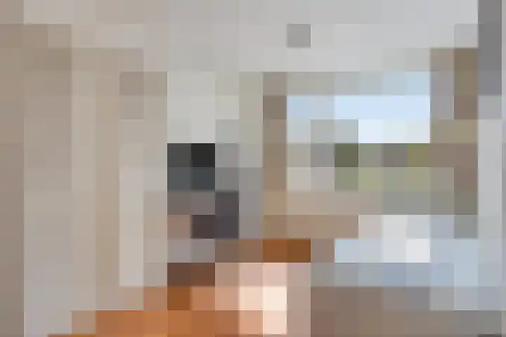 De Dorsvloer 24 Veenendaal thumbnail 17