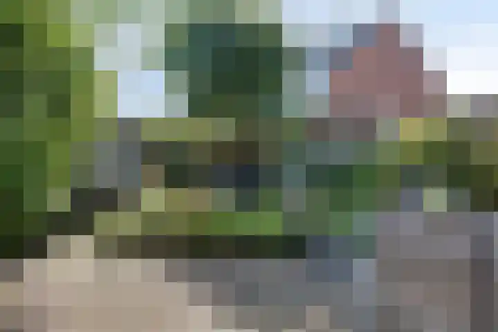 De Dorsvloer 24 Veenendaal thumbnail 21