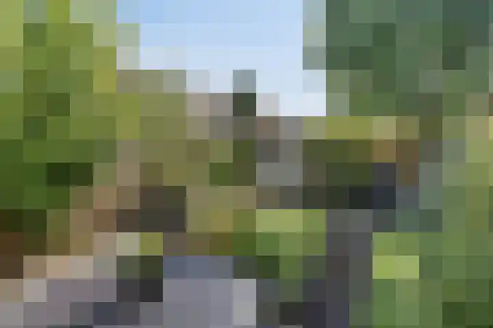 De Dorsvloer 24 Veenendaal thumbnail 22