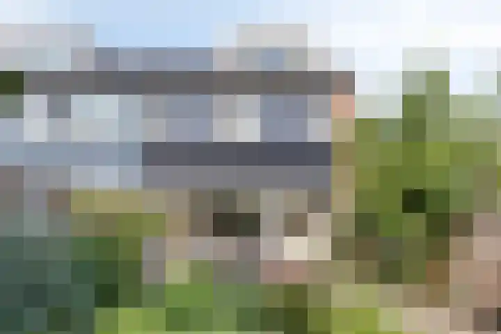 De Dorsvloer 24 Veenendaal thumbnail 23