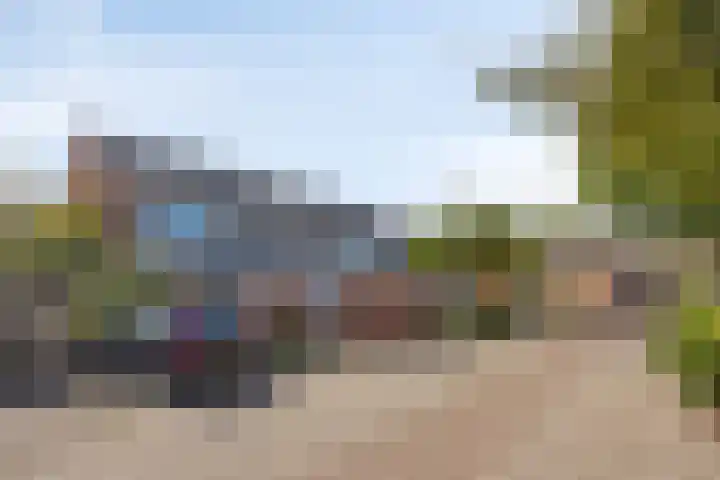 De Dorsvloer 24 Veenendaal thumbnail 26
