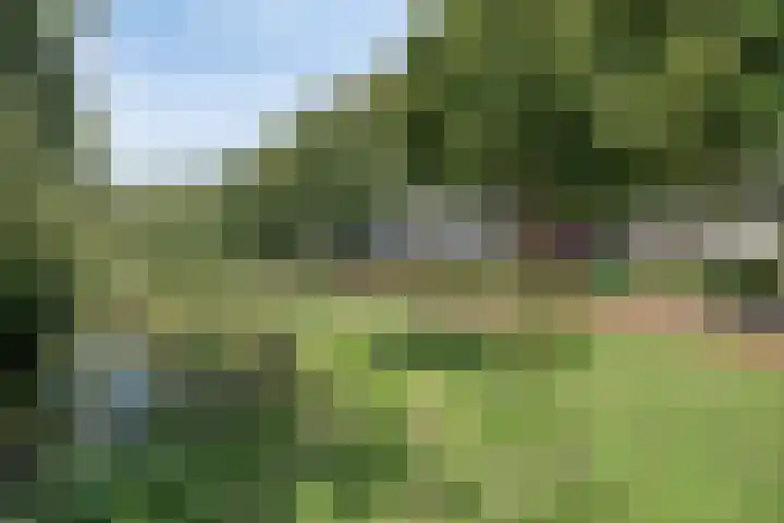 De Dorsvloer 24 Veenendaal thumbnail 27