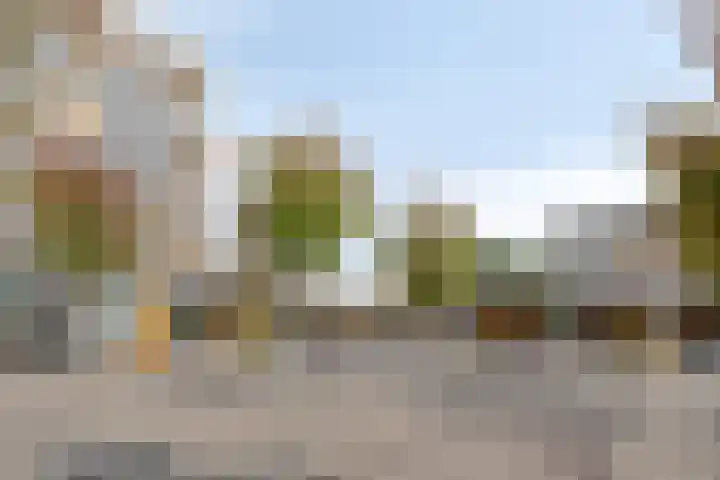 De Dorsvloer 24 Veenendaal thumbnail 28