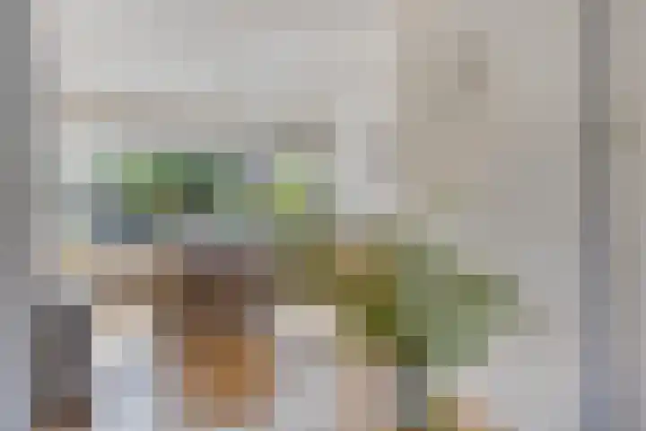 De Dorsvloer 24 Veenendaal thumbnail 9