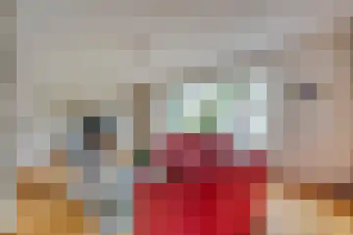 De Dorsvloer 32 Veenendaal thumbnail 11