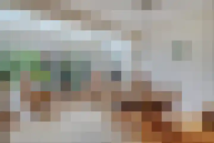 De Dorsvloer 32 Veenendaal thumbnail 13