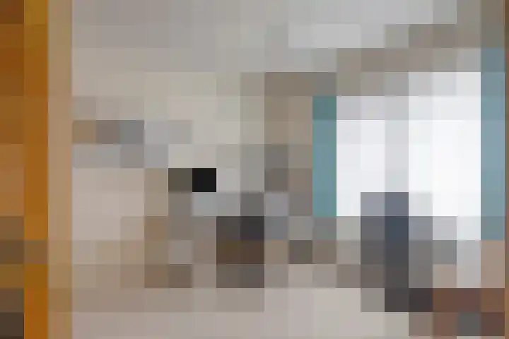 De Dorsvloer 32 Veenendaal thumbnail 19