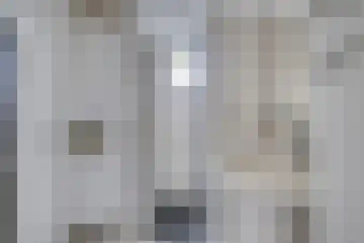 De Dorsvloer 32 Veenendaal thumbnail 22