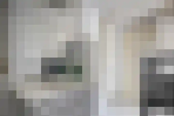 De Dorsvloer 32 Veenendaal thumbnail 23