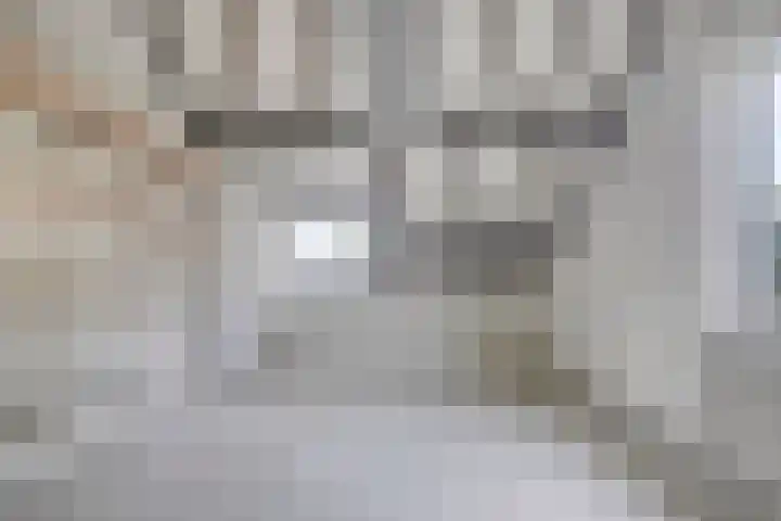 De Dorsvloer 32 Veenendaal thumbnail 25
