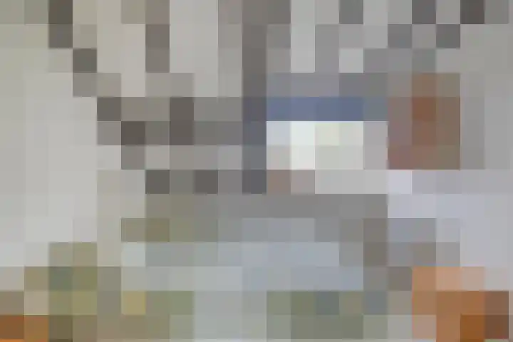 De Dorsvloer 32 Veenendaal thumbnail 27