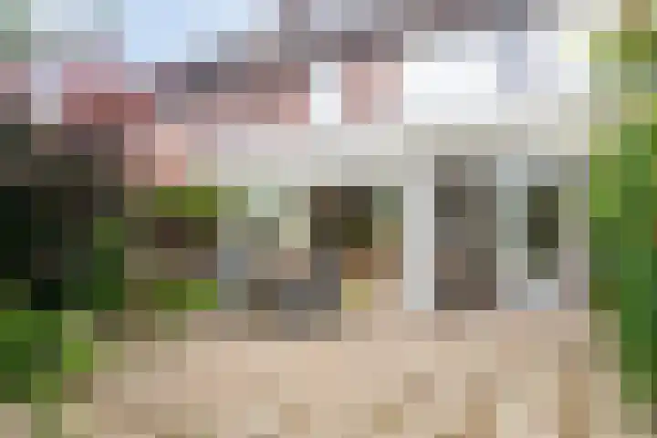 De Dorsvloer 32 Veenendaal thumbnail 28