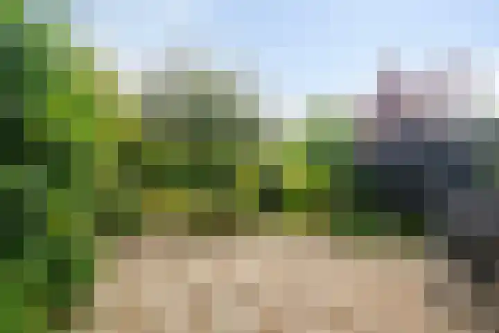 De Dorsvloer 32 Veenendaal thumbnail 29