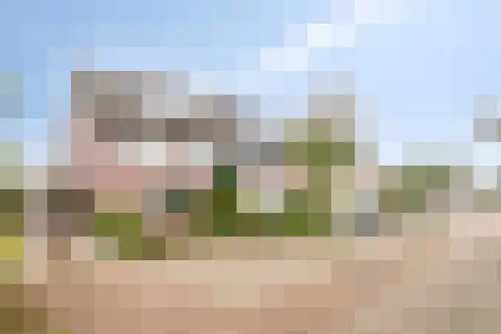 De Dorsvloer 32 Veenendaal thumbnail 31