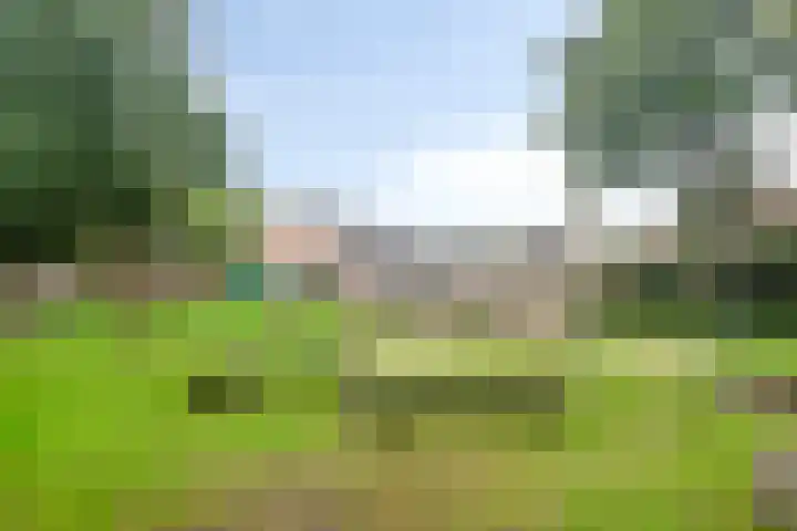 De Dorsvloer 32 Veenendaal thumbnail 32