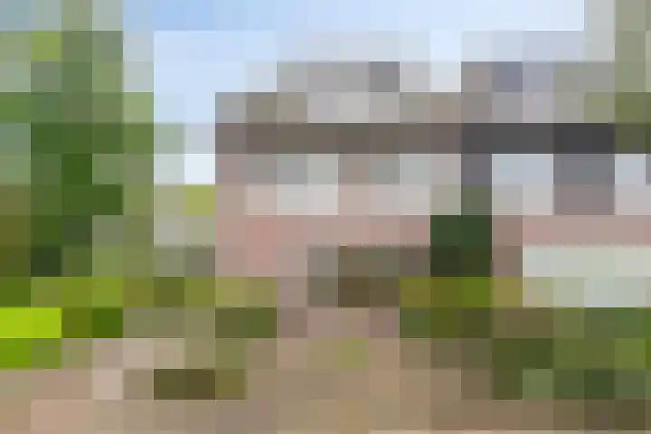 De Dorsvloer 32 Veenendaal thumbnail 6