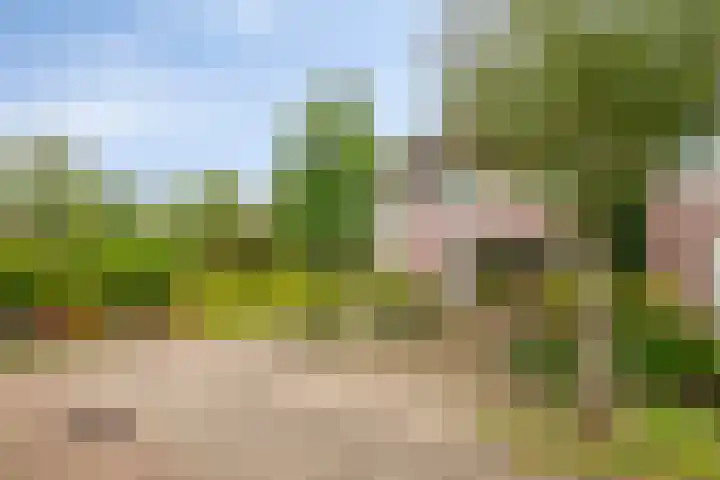De Dorsvloer 32 Veenendaal thumbnail 7
