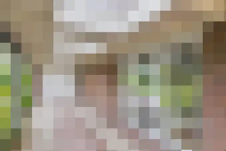 De Dorsvloer 32 Veenendaal thumbnail 8