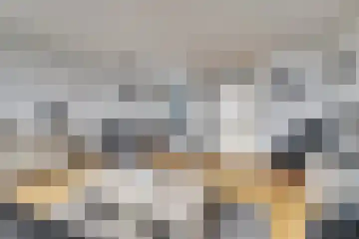 De Draai 11 Arnhem thumbnail 13