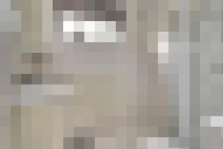 De Draai 11 Arnhem thumbnail 34