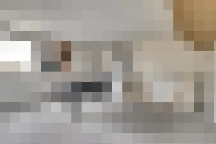 De Draai 11 Arnhem thumbnail 37