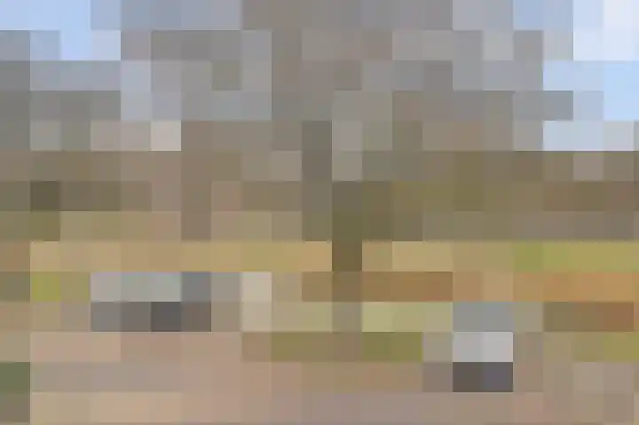 De Draai 11 Arnhem thumbnail 46