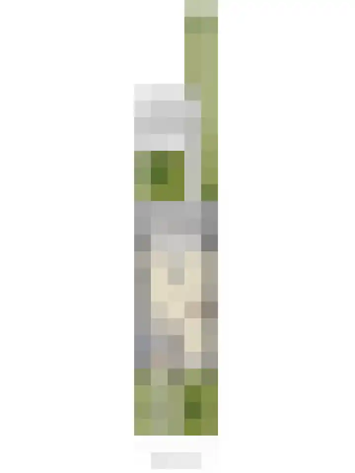 De Draai 11 Arnhem thumbnail 62