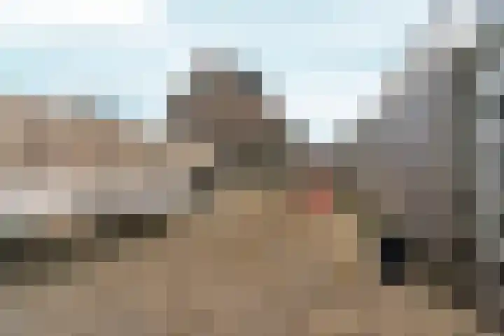 De Draai 31 Arnhem thumbnail 28
