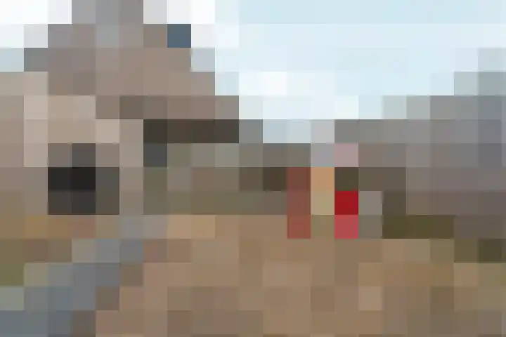 De Draai 31 Arnhem thumbnail 29