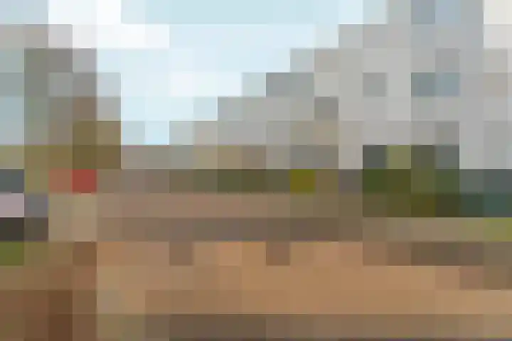 De Draai 31 Arnhem foto 3