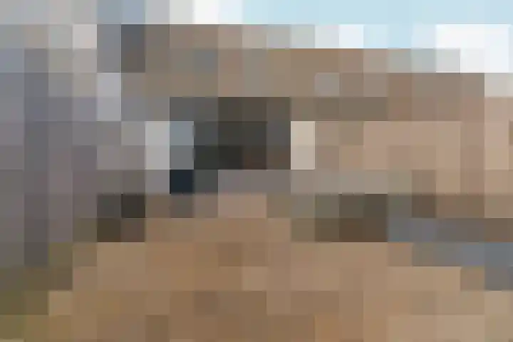 De Draai 31 Arnhem thumbnail 31