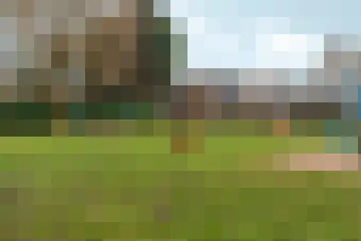 De Draai 31 Arnhem thumbnail 35