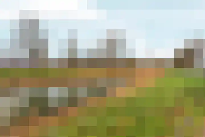De Draai 31 Arnhem thumbnail 36