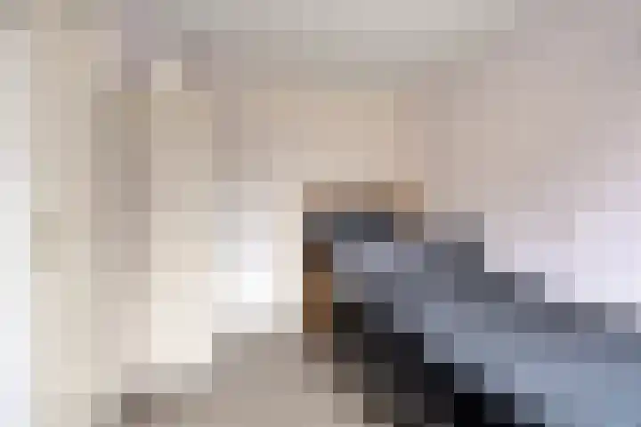De Draai 39 Arnhem thumbnail 24