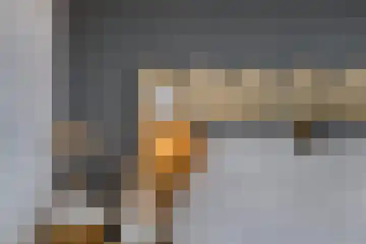 De Draai 4 Gytsjerk thumbnail 20