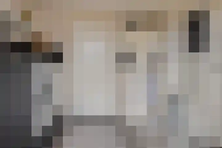 De Draai 4 Gytsjerk thumbnail 34