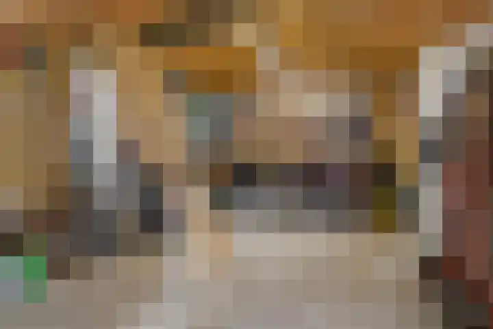 De Draai 4 Gytsjerk thumbnail 35