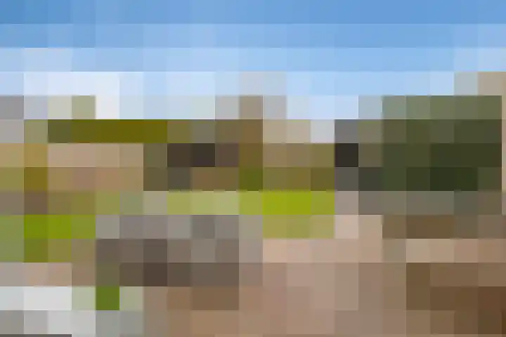 De Draai 4 Gytsjerk thumbnail 37