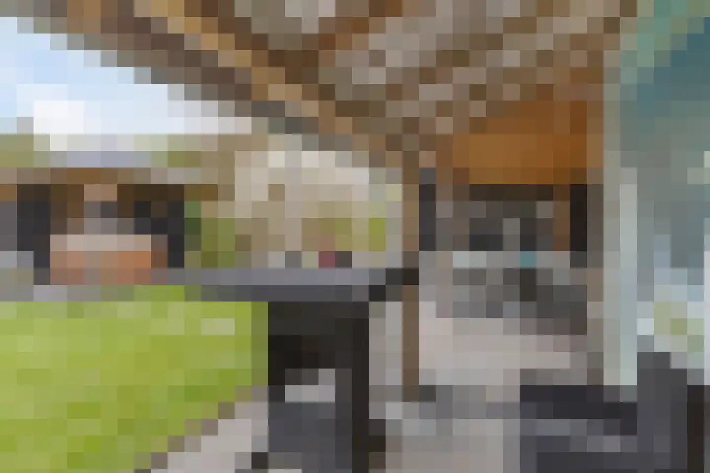 De Draai 4 Gytsjerk thumbnail 39