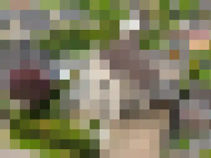 De Draai 4 Gytsjerk thumbnail 4
