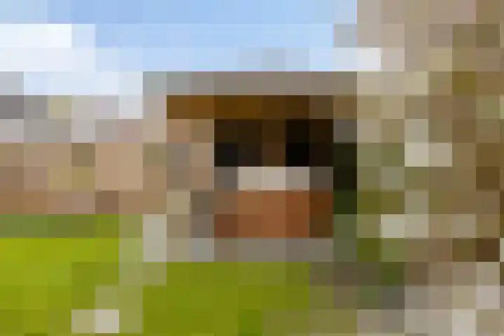 De Draai 4 Gytsjerk thumbnail 42