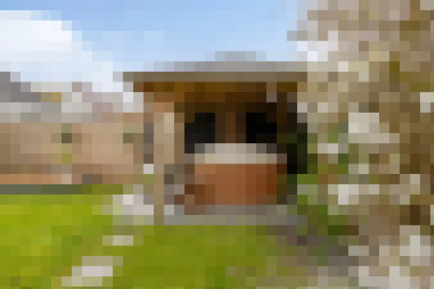De Draai 4 Gytsjerk thumbnail 42