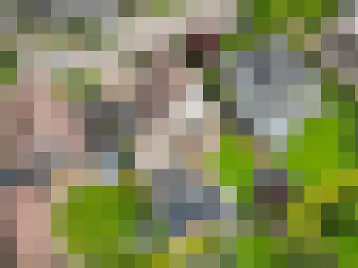 De Draai 4 Gytsjerk thumbnail 48