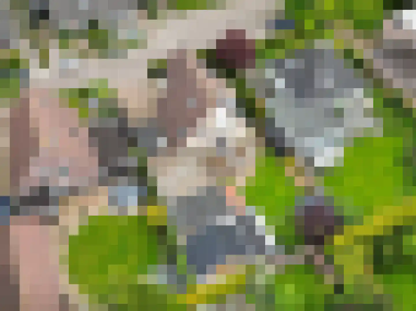 De Draai 4 Gytsjerk thumbnail 48
