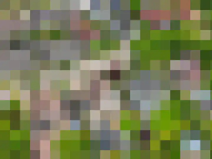De Draai 4 Gytsjerk thumbnail 49