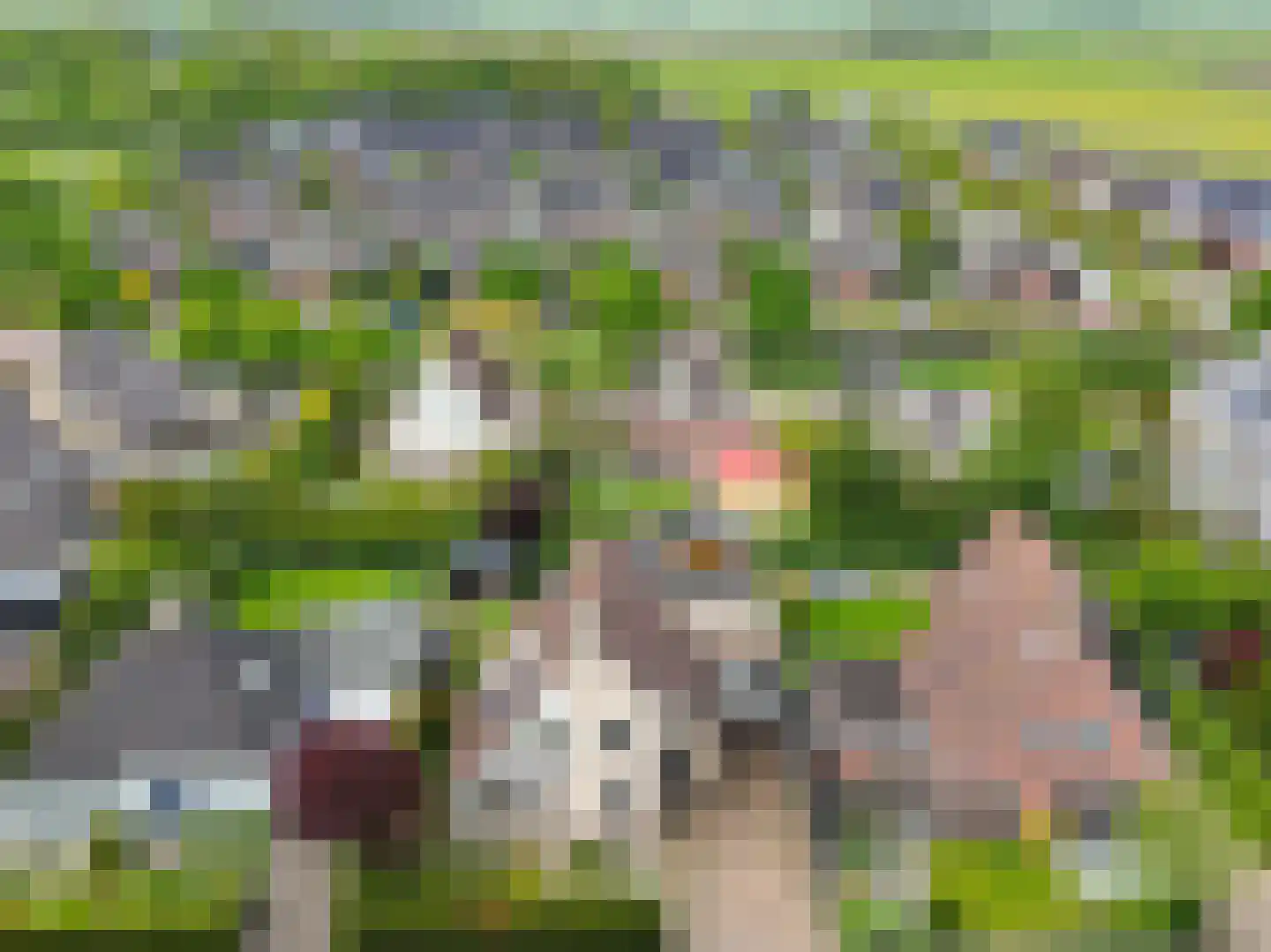 De Draai 4 Gytsjerk thumbnail 50