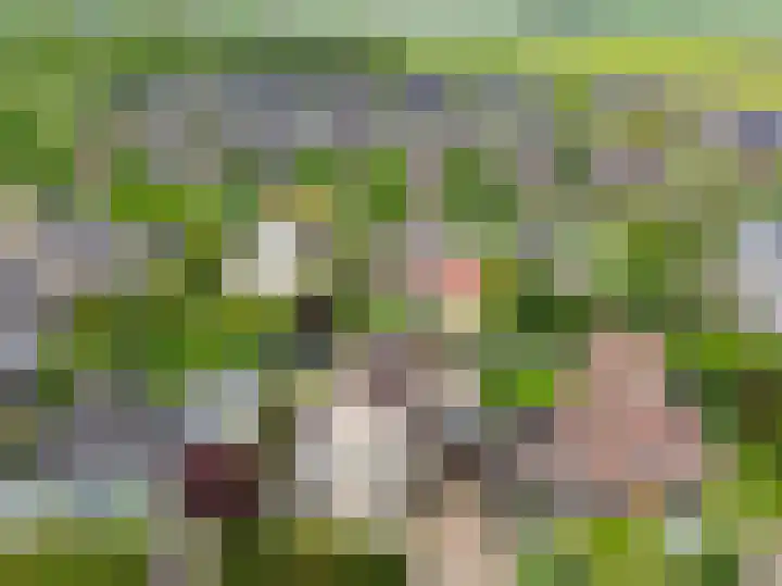 De Draai 4 Gytsjerk thumbnail 50