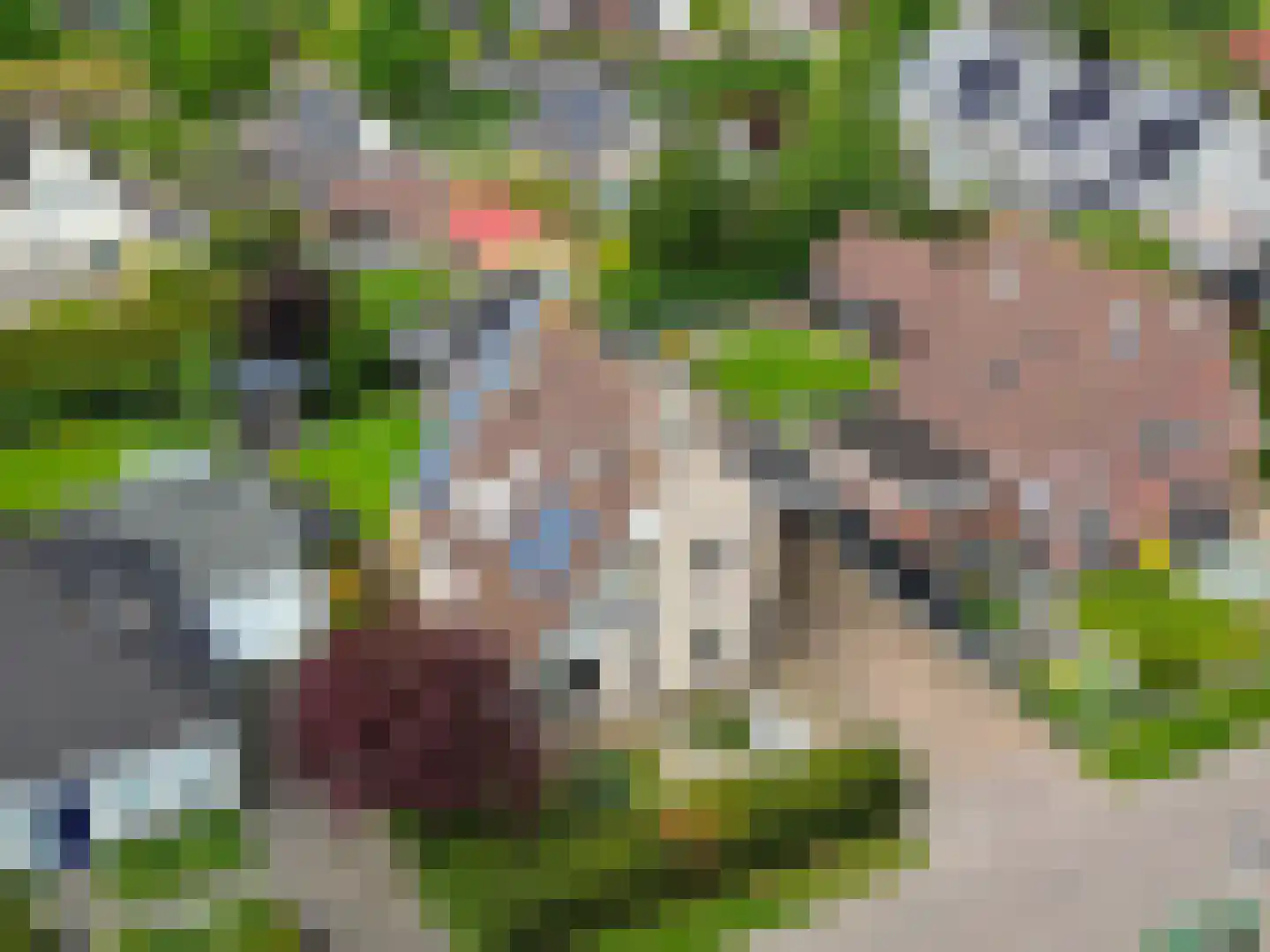 De Draai 4 Gytsjerk thumbnail 51